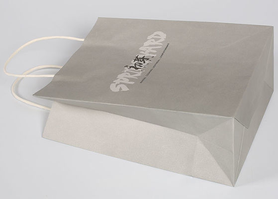 Matt a imprimé les sacs vigoureux d'emballage de cadeau de logo fait sur commande recyclables avec le logo adapté aux besoins du client